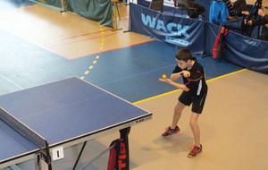 TOP OPEN:Victoires en Benjamins et Minimes et Finaliste en Cadets