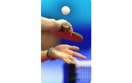 Programme des Vacances de la Toussaint