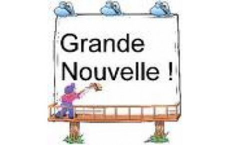 Réforme du Championnat par équipes !!!